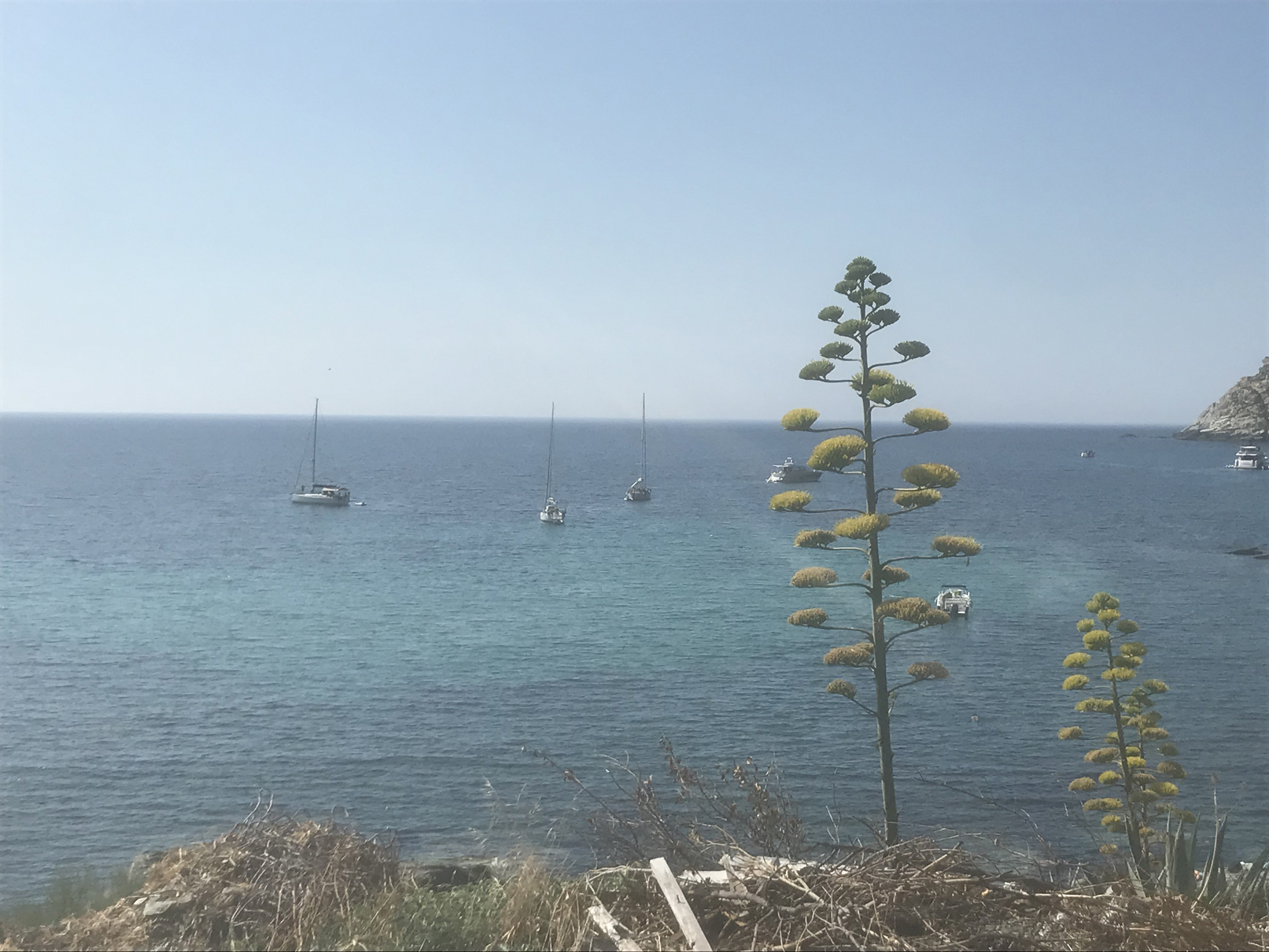 Crociere